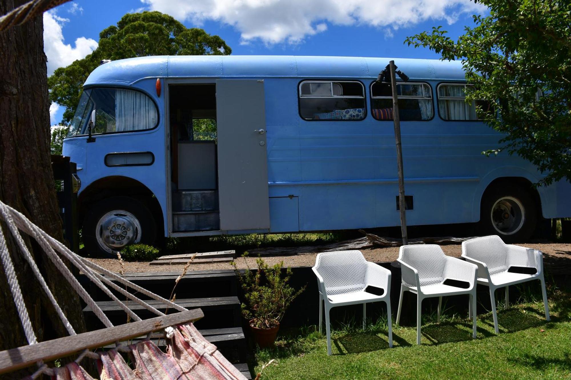 Evi The School Bus At Oromahoe Downs Farm Puketona Exterior foto